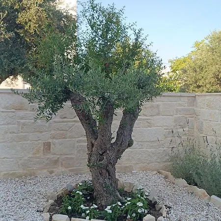 Terra Nuova וילה *